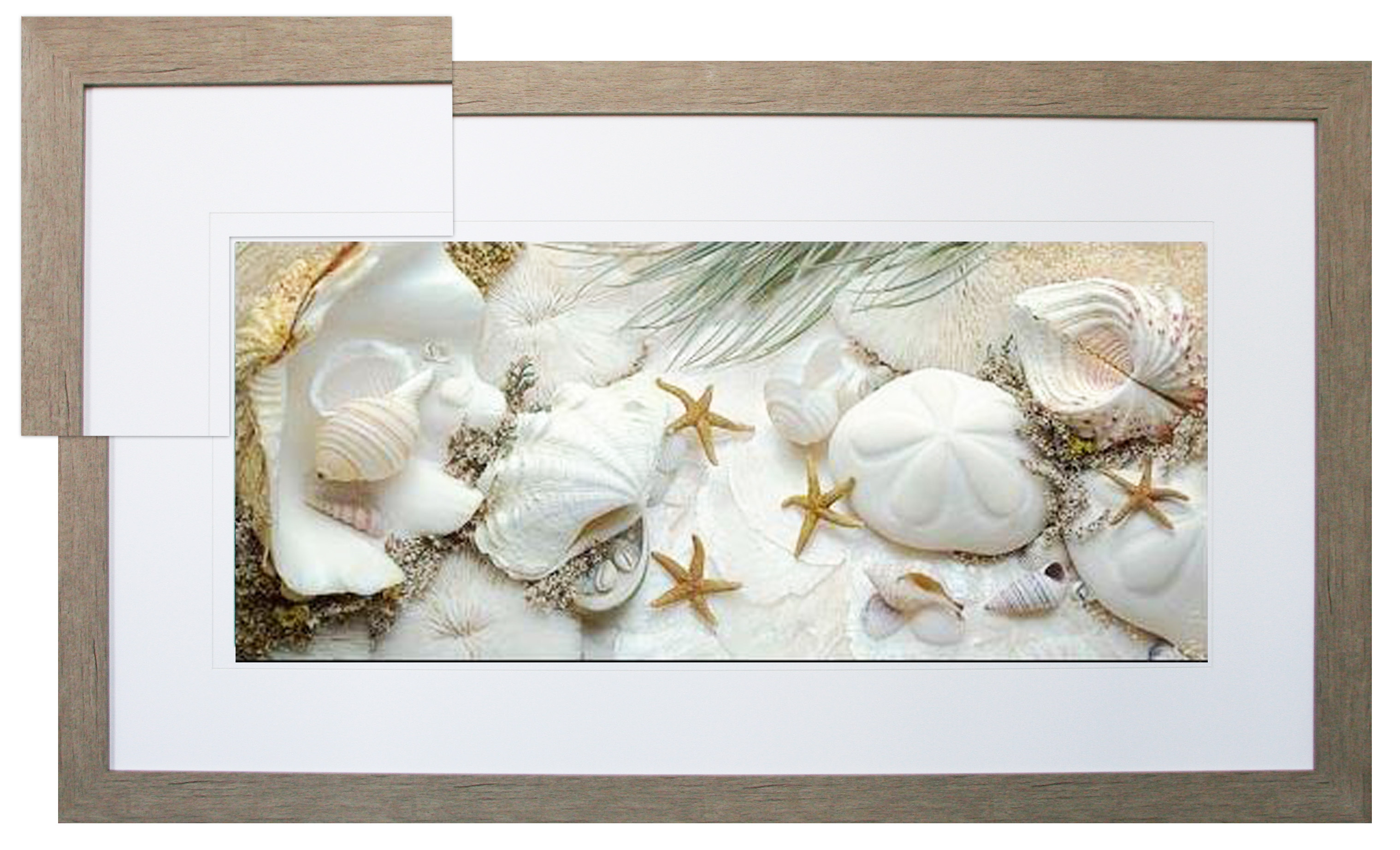 FP205 Wall décor art framed print sea shells grey frame